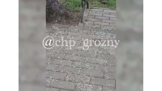Новости Чечня - Молодые люди, нужно заботиться о чистоте города тоже. смотреть онлайн