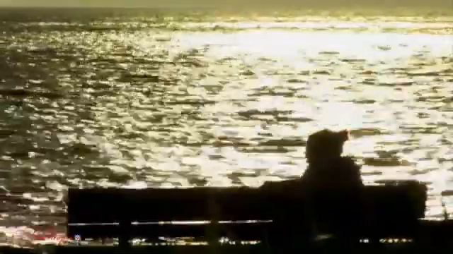 Seni Unutmaqdan Otru