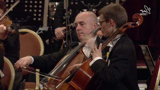 Pablo De Sarasate, Navarra For 2 Violin And The Orchestra.