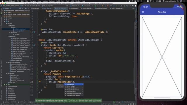 308 The Placeholder widget смотреть онлайн
