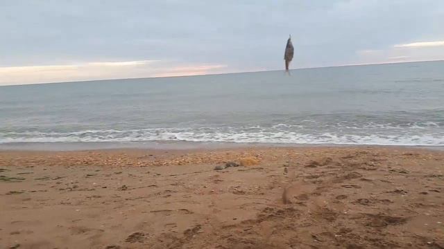 Рыбалка с отцом. смотреть онлайн