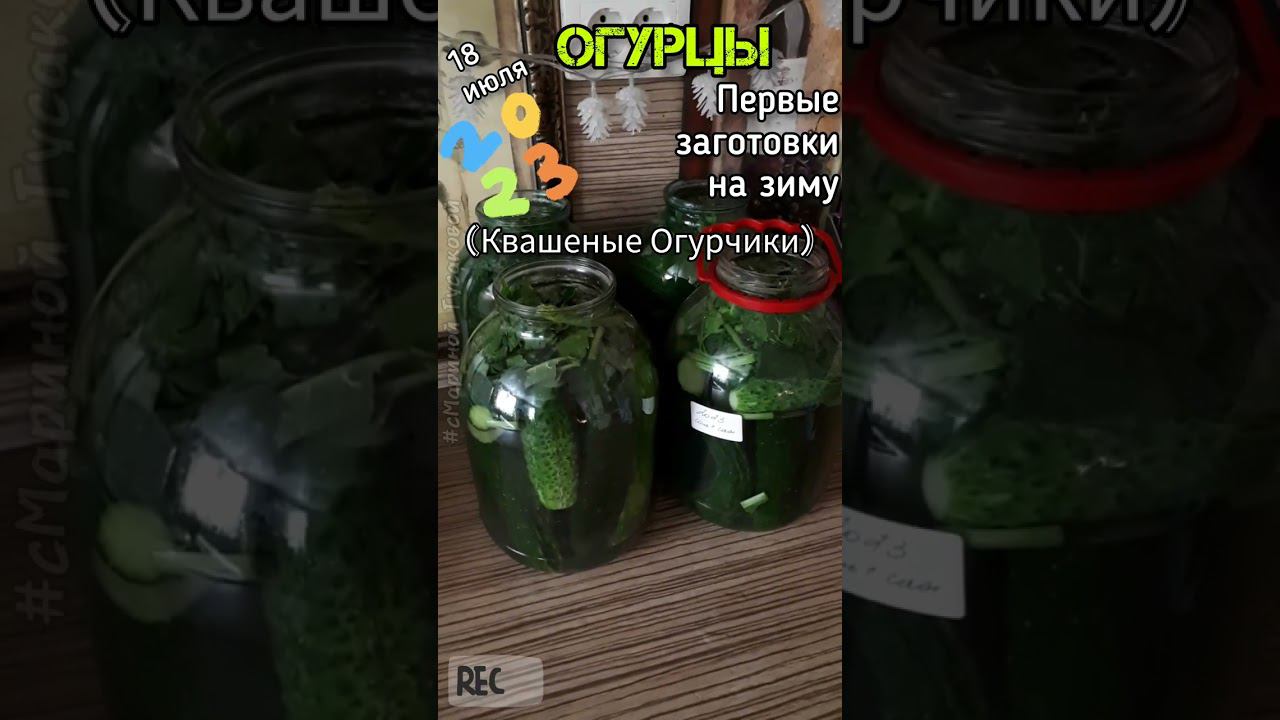 Квашеные Огурцы на зиму, как бочковые, #рецепт огромные #огурцы 18 июля ОГУРЦЫ открытого грунта смотреть онлайн
