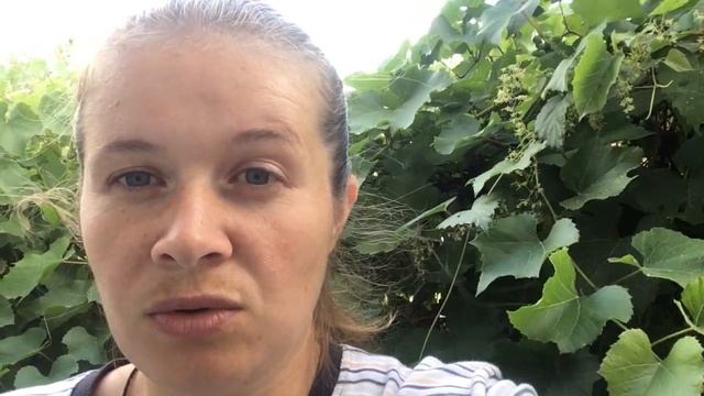 Мой опыт использования биопрепаратов. смотреть онлайн