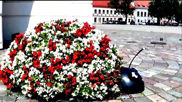 Каунас: старый город (часть 2/5) смотреть онлайн