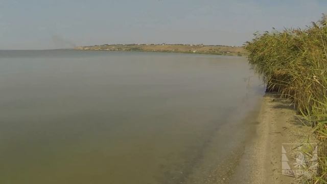 Ловля «шахматной гадюки» смотреть онлайн