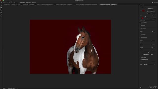 The How-To of Black Background Horse Photography (No Lights Required!) | Theory + Full Edit смотреть онлайн