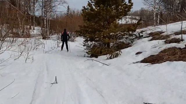 Прогулка в тайгу на лыжах. смотреть онлайн