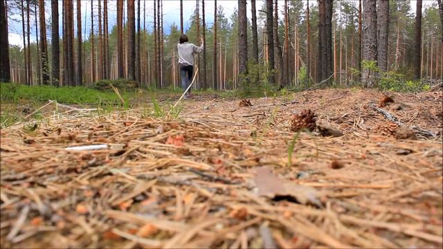 ЛЕС С ДЕРЕВЬЯМИ ДО ЛУНЫ... смотреть онлайн