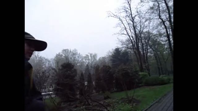 Katowice. Парк им. Тадеуша Костюшки (Park Tadeusza Kościuszki)