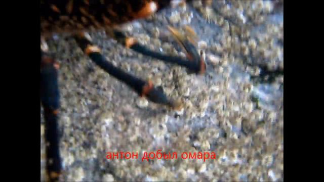 норвегия о. Хитра 2012 подводная охота смотреть онлайн