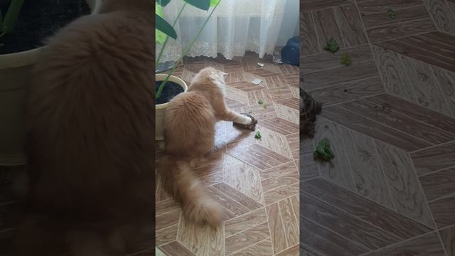 Дружба крепкая,не сломается.... смотреть онлайн