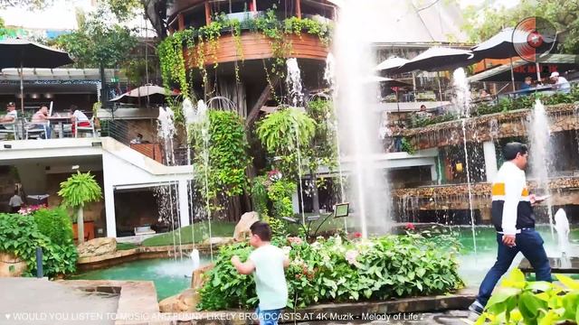 Happy Morning Cafe Music ☕ Beautiful Spanish Guitar Music For Work / Study / Wake up / Stress Relie смотреть онлайн