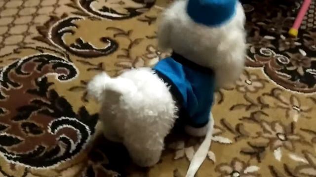 ВЕСЕЛЫЙ смотреть онлайн