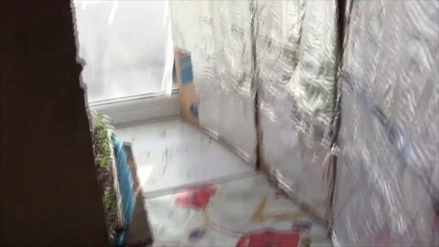 Рассада перца,1 месяц,-условия выращивания. смотреть онлайн