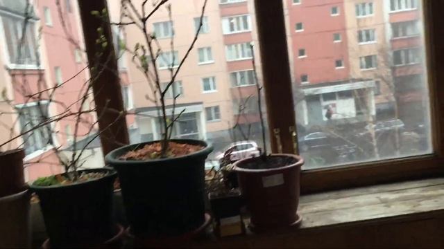 Какое прекрасное дождливое утро!!.. смотреть онлайн