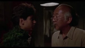 Малыш каратист 720p