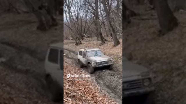 НИВАжно где дорога смотреть онлайн