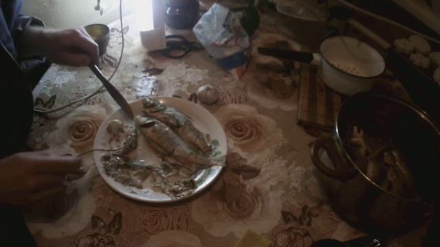 Поедание вареного Окуня - Вкусно! Петр Малюгин смотреть онлайн