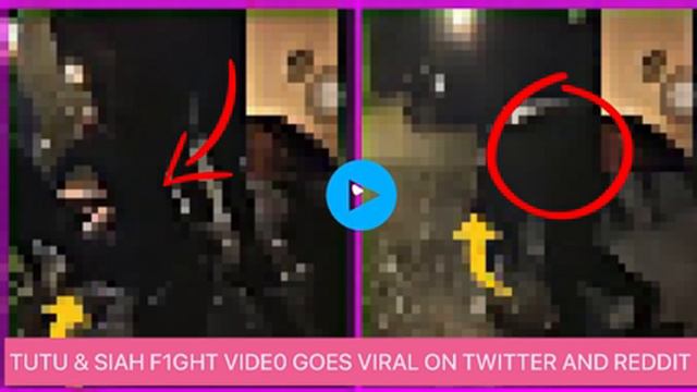 Tutu and Siah Fight - Tutu and Siah fight video | tutu and siah | смотреть онлайн