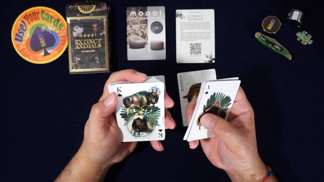 Leaf Blowers Blow! Theory11 & MOOOI Extinct Animals Playing Cards Deck. Let's open some packs! смотреть онлайн