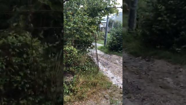 Доставка Мебели Сочи смотреть онлайн