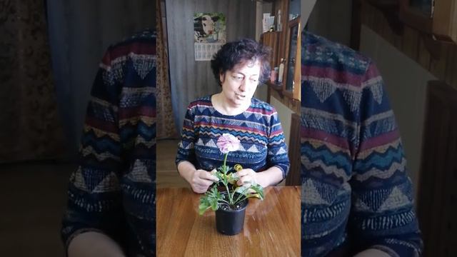 Проблемы и решения