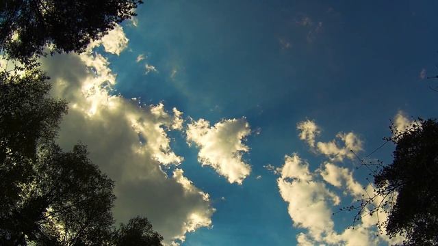Short Calm Piano Music for Soothing Relaxation - Music Short Timelapse Video смотреть онлайн