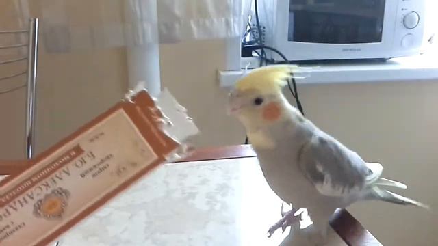 Корелла Кира