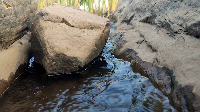 Большое озеро в индийской деревне. Немного природв и релакса смотреть онлайн