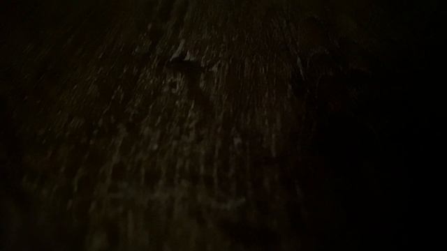 cover of this is home by cavetown смотреть онлайн