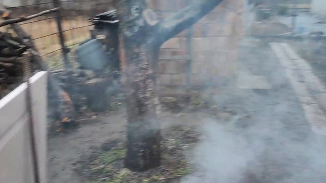 Кулинарное чудо на каждый день 