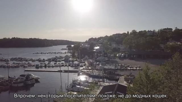 Что посмотреть в Бангкоке: кошачье кафе Purr Cat Cafe 2020 Отзывы туристов и форум Ездили-Знаем! * смотреть онлайн