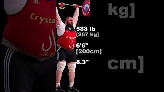 Horsepower of the weightlifter смотреть онлайн