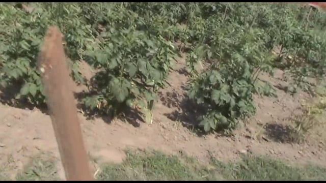 Листогиб своими руками. 1 часть смотреть онлайн