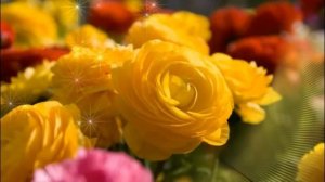 ПРОШУ ВАС,НИКОГДА НЕ УНЫВАЙТЕ