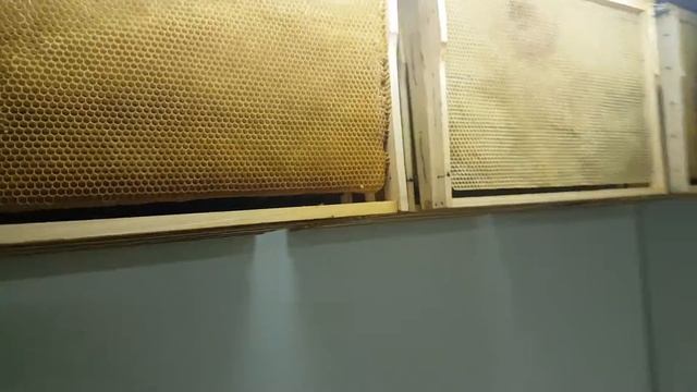 Способ хранение суши смотреть онлайн