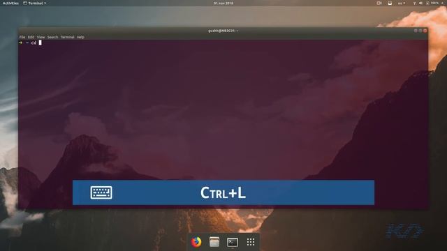 01 - Instalando Zsh + OhMyZsh en Ubuntu смотреть онлайн