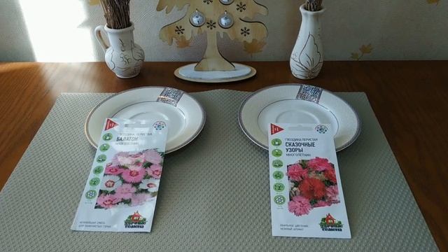 Гвоздика сильно удивила. Посадите, всем советую! смотреть онлайн