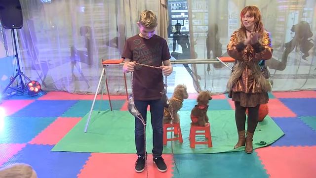 Как необычно поздравить ребенка с днем рождения. Шоу на праздник смотреть онлайн