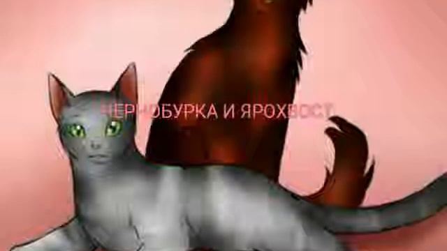 Пары котов воителей ( 1 часть) смотреть онлайн