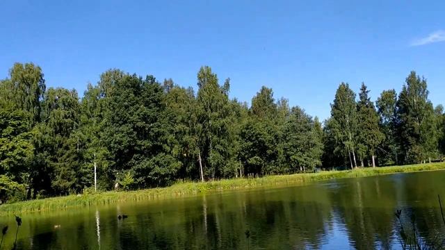 Лена Хеппи замучает нас стримами.Из пустого в порожнее.Ножка болит, но она Мерлин Монро.#ленахеппи смотреть онлайн