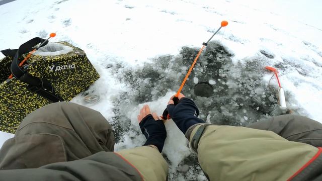 ПЕРВЫЙ БЕРШ В ЖИЗНИ !!  Учусь как поймать берша зимой со льда на тюльку