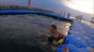 20.11.04. Сочи. Купание с дельфинами и белухами в море, без гидов.
