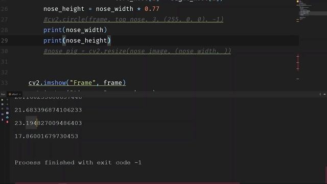 Pig's nose (Face instagram filters) - Opencv with Python смотреть онлайн
