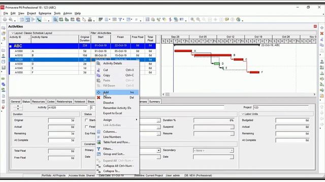 Primavera P6 Lecture 4.3 (Activity options) смотреть онлайн