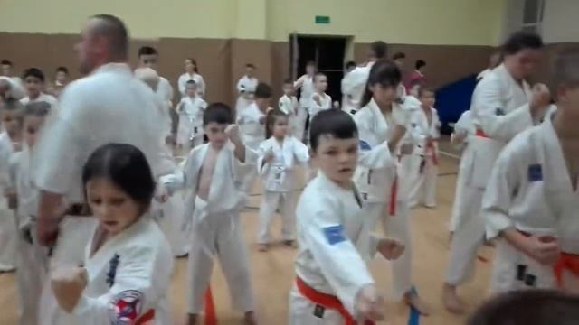 Аттестация 26 11 2017, Симмей до каратэ смотреть онлайн