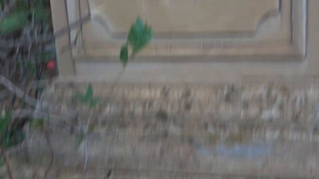 Астрахань. Старое кладбище на 