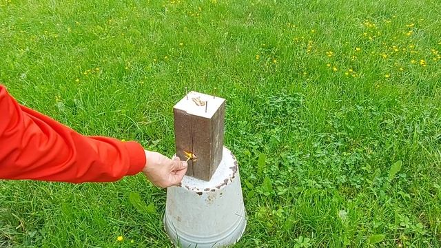 Почему я раньше это не сделал Классная крутая самоделка из деревянного бруска. смотреть онлайн