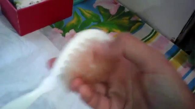 Делаем пеленальный столик)1часть . смотреть онлайн