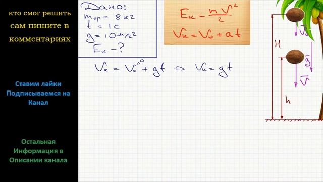 Физика Кокосовый орех массой 8 кг падает с пальмы. Найдите его кинетическую энергию через 1 с после смотреть онлайн